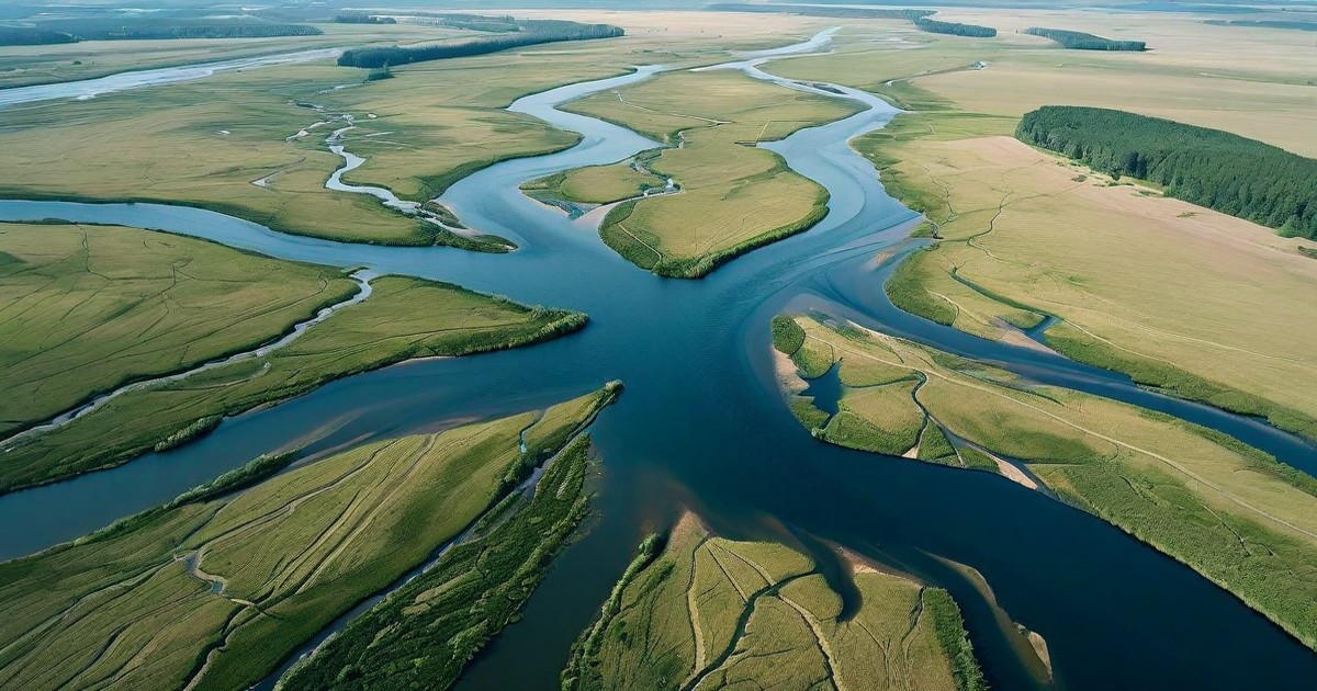 Network Effects Playbook